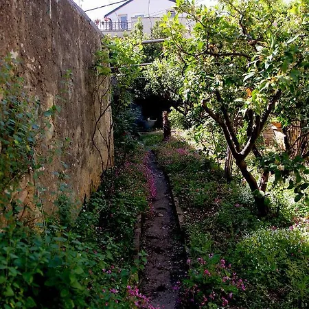 فيلة Casa Pelizzari بيوغْغاد نا موغو